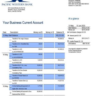 Pacwest Bank corporate checking account statement Word and PDF template download template file