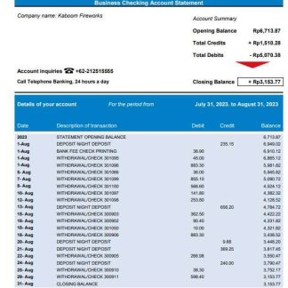 Panin Bank organization checking account statement Word and PDF template download template file