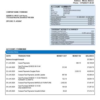 Paritet bank company account statement Word and PDF format download template file