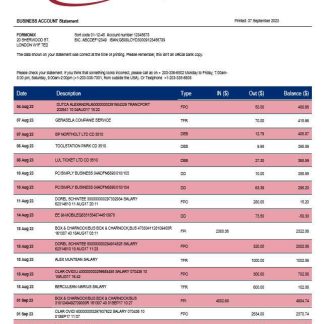 People??s United Bank business statement Word and PDF template download template file