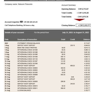 Pictet Bank firm account statement Word and PDF template download template file