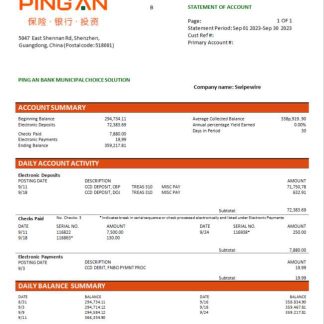 Ping An Bank firm checking account statement Word and PDF template download template file