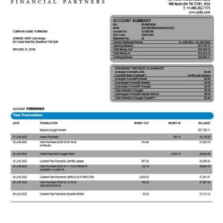 Pinnacle Financial Bank firm account statement Word and PDF template download template file