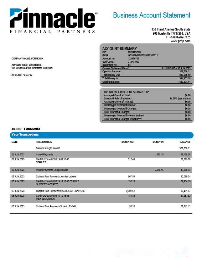 Pinnacle Financial Bank firm account statement Word and PDF template download template file