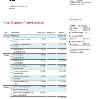 PKO Bank Polski corporate statement Word and PDF template download template file