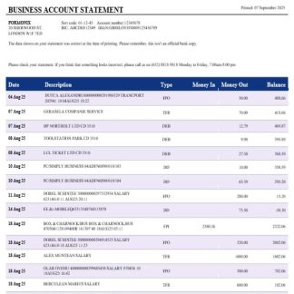 PNB bank business account statement Word and PDF template download template file