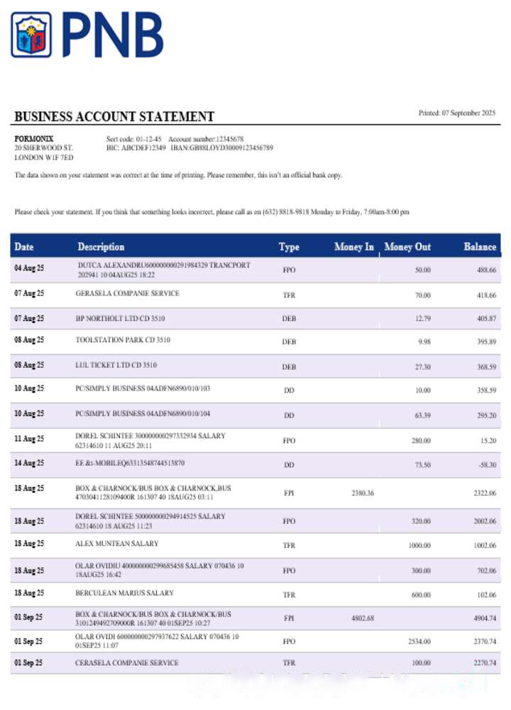 PNB bank business account statement Word and PDF template download template file