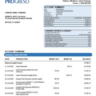 Progreso business account statement Word and PDF template download template file