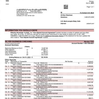 PUBLIC Bank bank statement download template file