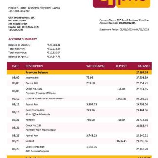 Punjab National Bank business statement Word and PDF template download template file