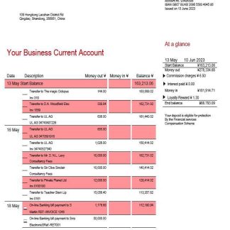 Qingdao Rural Commercial Bank organization account statement Word and PDF template download template file