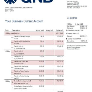 QNB Bank company account statement Word and PDF template download template file