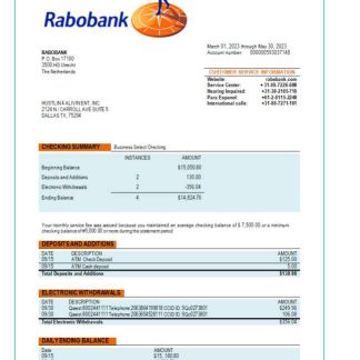 Rabobank bank organization account statement Word and PDF template download template file
