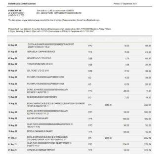 Raiffeisen Bank International Bank International company statement Word and PDF template download template file