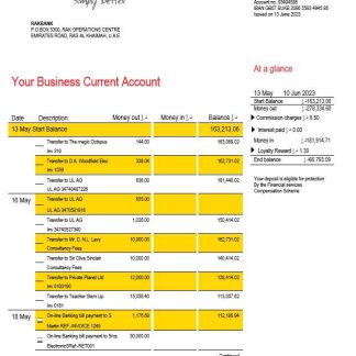 Rakbank enterprise account statement Word and PDF template download template file