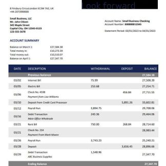 Rathbones Bank company account statement Word and PDF template download template file