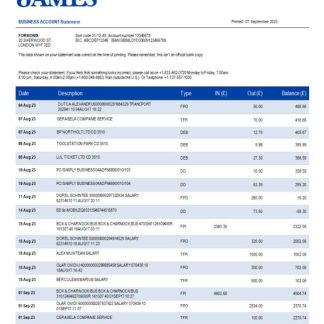 Raymond James Bank organization statement Word and PDF template download template file