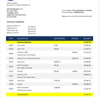 RBC Royal Bank enterprise checking account statement Word and PDF template download template file