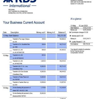 RBS Bank business checking account statement Word and PDF template download template file