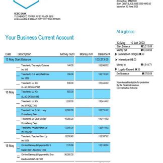 RCBC Bank organization account statement Word and PDF template download template file