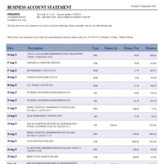Aspiration bank business account statement Word and PDF template download template file