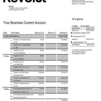 Revolut Bank firm account statement download template file