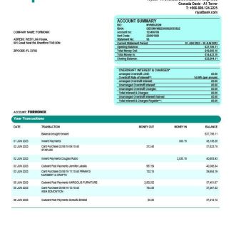Riyad Bank enterprise statement Word and PDF template download template file