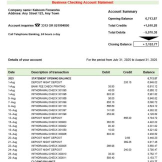 Rupali company checking account statement Word and PDF template download template file