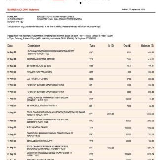 SABB Bank company statement Word and PDF template download template file