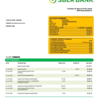 Sberbank Bank enterprise checking account statement Word and PDF template download template file