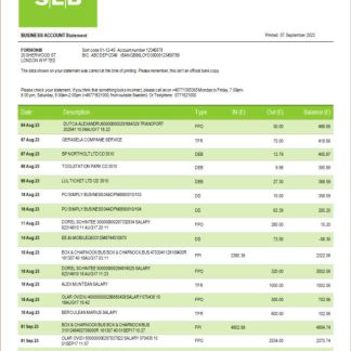 SEB Bank company statement Word and PDF template download template file