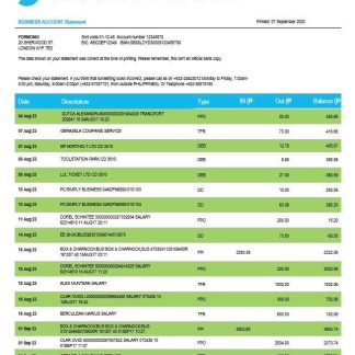 Security Bank firm account statement Word and PDF template download template file