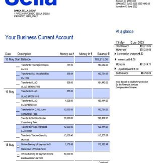 Sella Bank business checking account statement Word and PDF template download template file