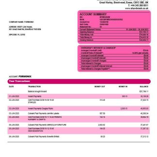 Shawbrook Group enterprise account statement Word and PDF template download template file