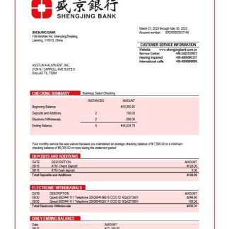 Shengjing Bank company checking account statement Word and PDF templa download template file