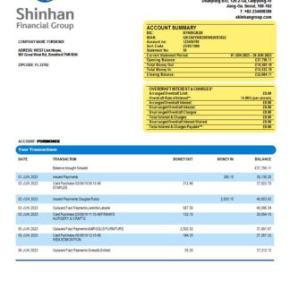 Shinhan Financial Group enterprise statement Word and PDF template download template file