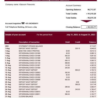 Shizuoka Bank organization checking account statement Word and PDF template download template file
