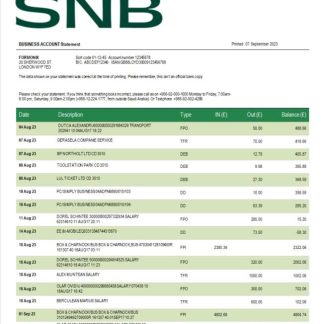 SNB Bank enterprise statement Word and PDF template download template file