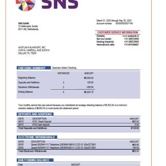 SNS Bank enterprise account statement Word and PDF template download template file