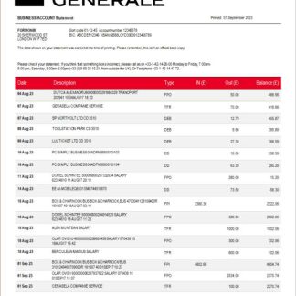 Societe Generale Bank firm account statement Word and PDF template download template file