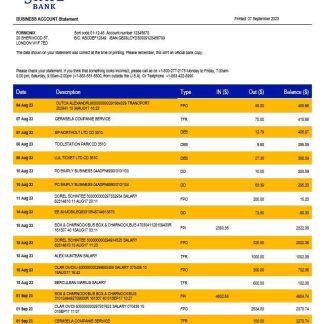 South State Bank company statement Word and PDF template download template file