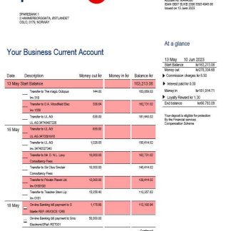 Sparebank 1 firm account statement Word and PDF template download template file