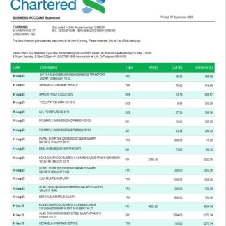 Standard Chartered bank company account statement Word and PDF template download template file