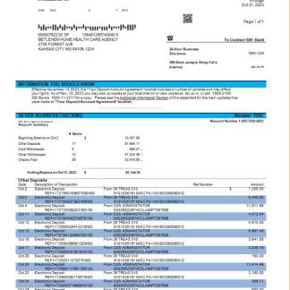 State Bank of India company account statement Word and PDF template download template file