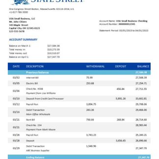 State Street Bank organization bank statement Word and PDF template download template file