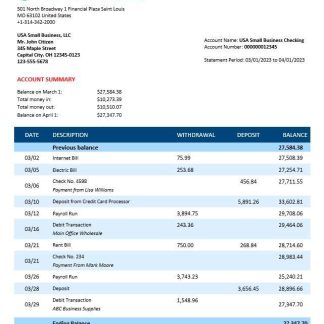 Stifel Financial Bank firm statement Word and PDF template download template file