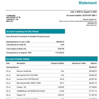 Aveo business firm account statement Word snd PDF format download template file