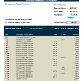 SVB Bank firm statement Word and PDF template download template file