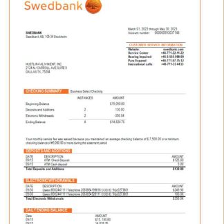 Swedbank business checking account statement Word and PDF template download template file