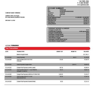 Synovus Bank enterprise statement Word and PDF template download template file